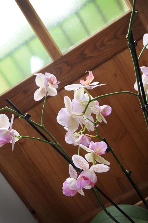 Les Songes De L'Abbaye Bed and Breakfast Cadouin Kamer foto